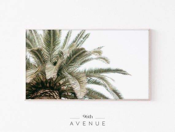 Palm Trees Photography Art Print, Tropical Decor