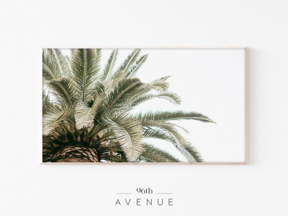 Palm Trees Photography Art Print, Tropical Decor