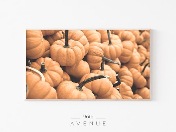 Thanksgiving Pumpkin Pile - Seasonal Art