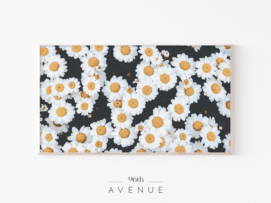 Spring Daisy Flowers Art for TV