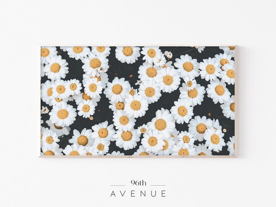 Spring Daisy Flowers Art for TV