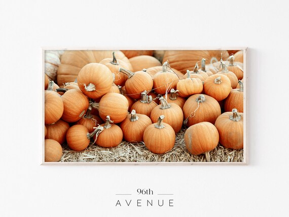 Autumn Pumpkin Patch Ripe Orange Harvest Hay Still Life Print