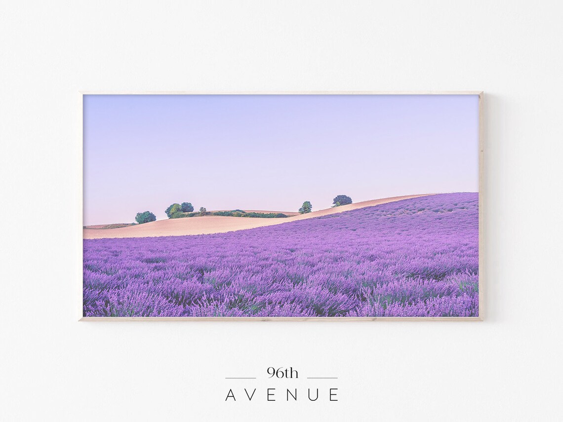 Lavender Flower Field Landscape Art Print