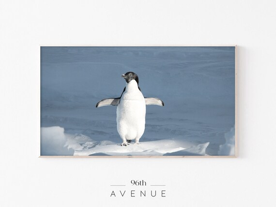 Adelie Penguin Standing on Snow Blue Arctic Wildlife Art Poster