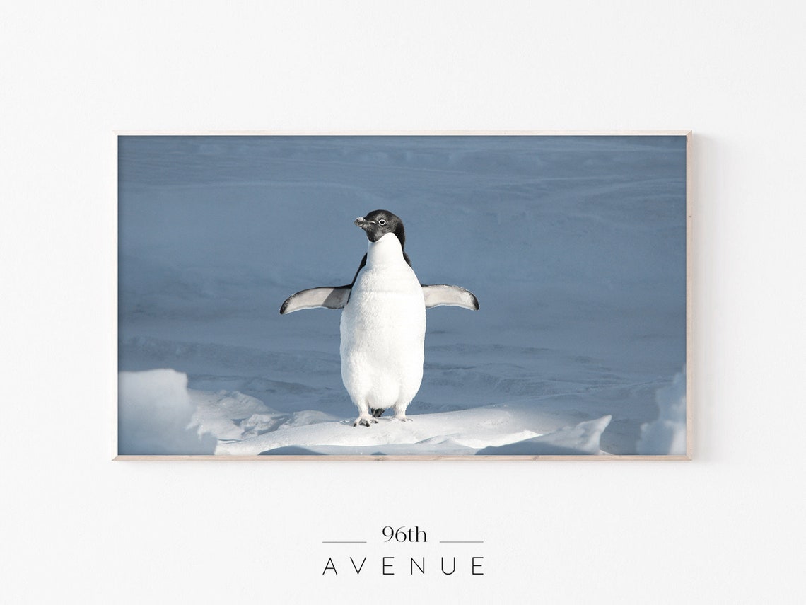Adelie Penguin Standing on Snow Blue Arctic Wildlife Art Poster