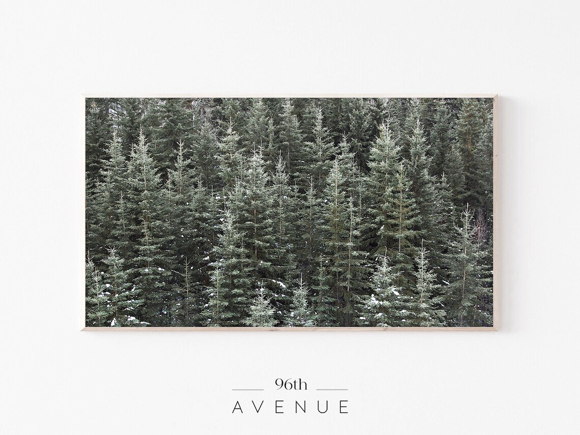 Pine Tree Forest, Nature Landscape Art Print