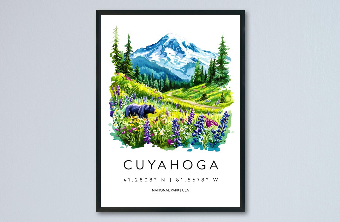 Cuyahoga Ohio Watercolor Mountain Meadow Bear Wildflowers National Park Poster