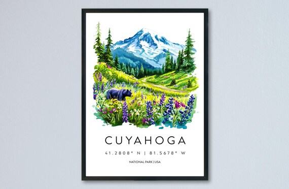 Cuyahoga Ohio Watercolor Mountain Meadow Bear Wildflowers National Park Poster