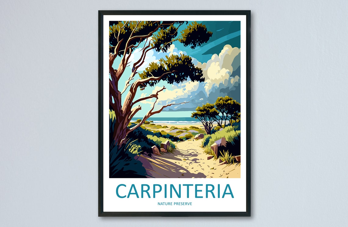 Carpinteria Nature Preserve Coastal Pine Trail Beach Art Poster