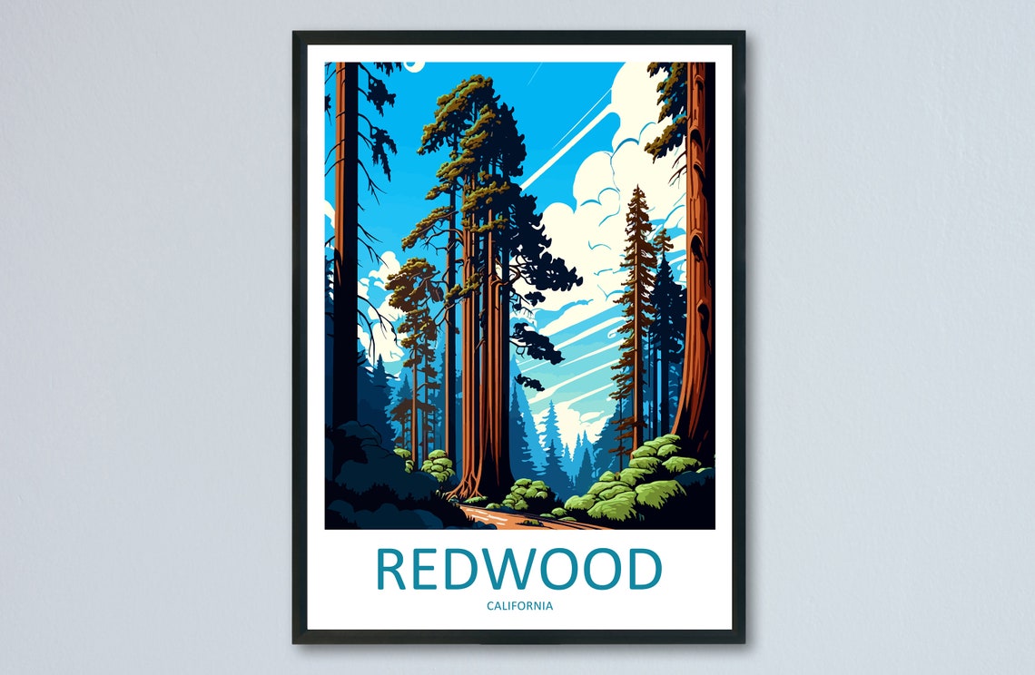 Redwood California Towering Forest Trees Giant Travel Poster
