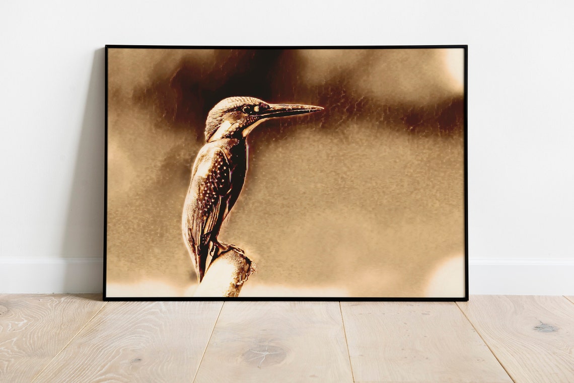 Kingfisher Perched Branch Rich Sepia Gold Duotone Fine Art Bird Poster