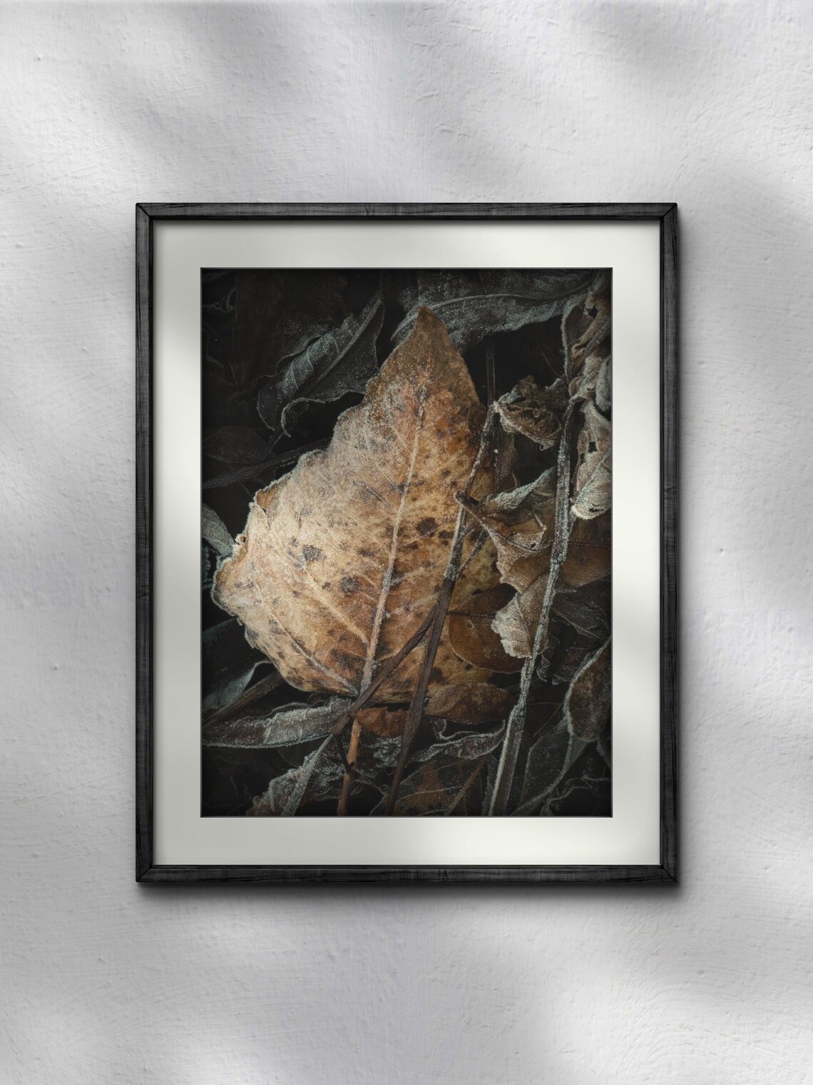 Leaves Branches Close-Up Nature Photography Art - Image 3