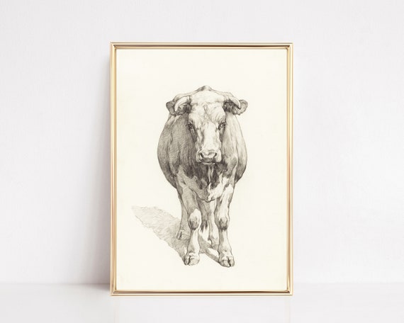 Vintage Farmhouse Cow Sketch Art Print