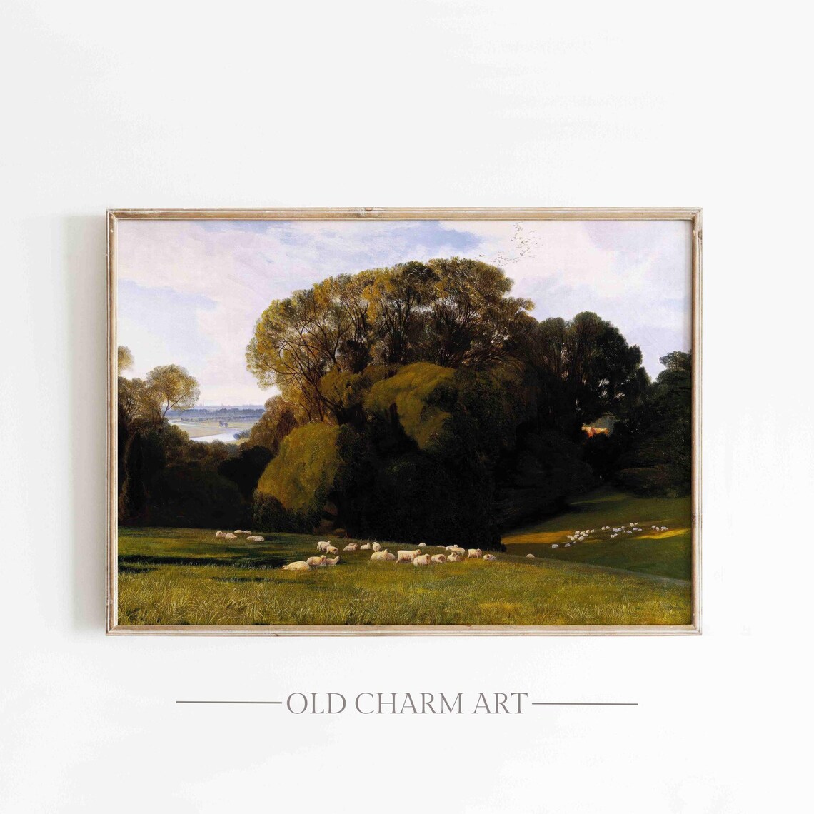 Sheep Grazing in a Sunlit Meadow by Dark Woodland Pastoral Art Poster