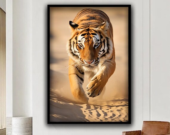 Tiger Walking Toward Camera Golden Light Desert Path Wildlife Poster