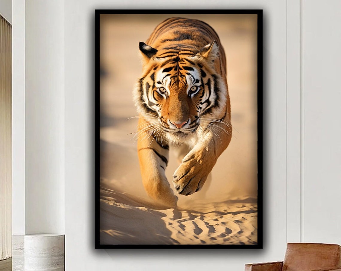 Tiger Walking Toward Camera Golden Light Desert Path Wildlife Poster