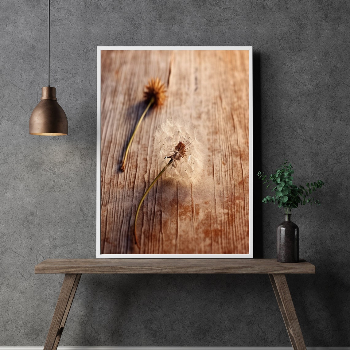 Dandelion Seed Heads On Weathered Wood Rustic Nature Photography Print - Image 3