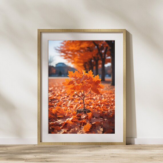 Small Orange Maple Sapling Among Fallen Autumn Leaves Poster