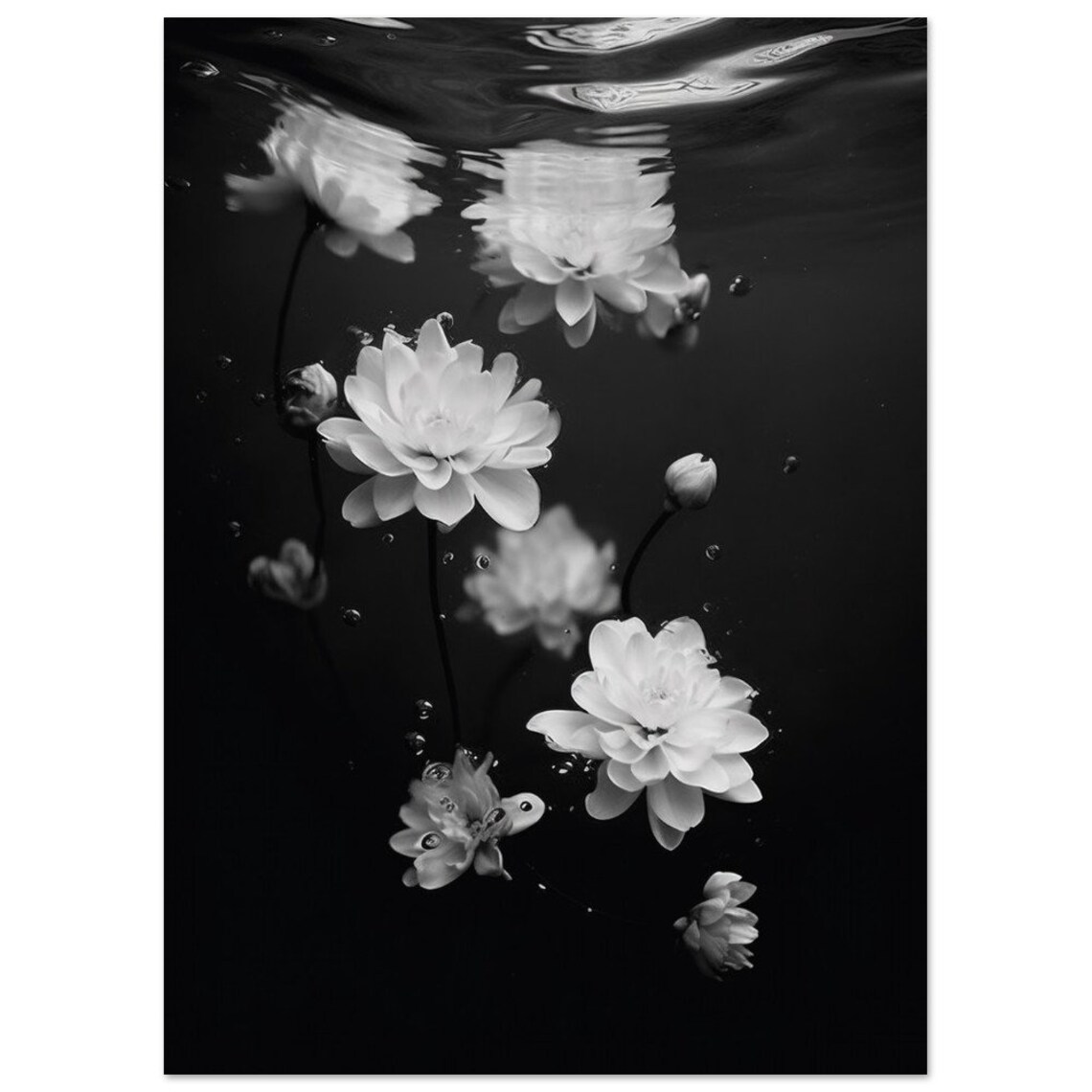 Black And White Underwater Floating Flowers Art Photography Poster - Image 2