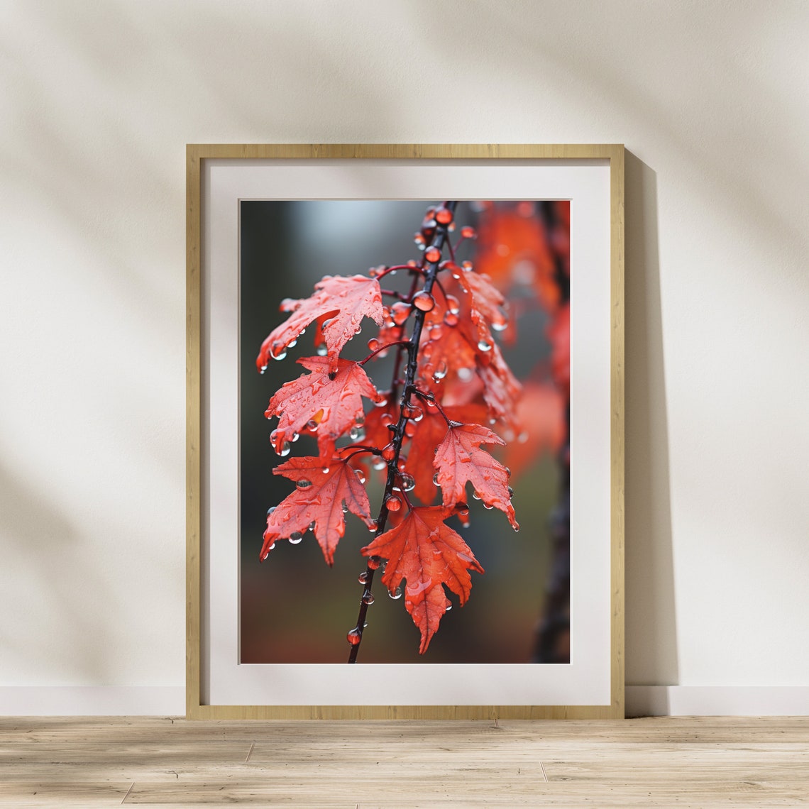Red Maple Branch With Raindrops Macro Close Up Nature Autumn Poster