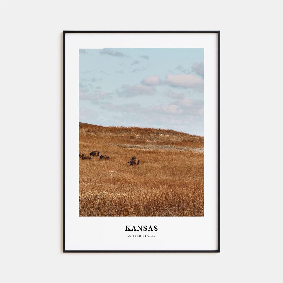 Kansas Prairie Bison Herd Tallgrass Sunset Landscape Travel Poster