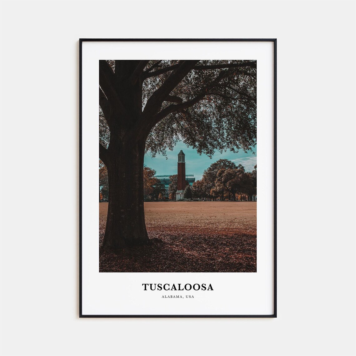 Tuscaloosa Travel Poster, Alabama Map Art Print