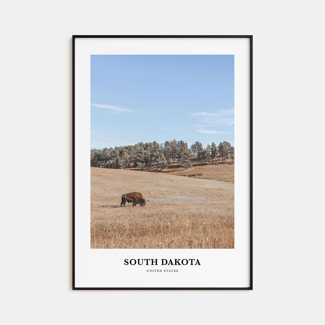 South Dakota Bison Grazing Golden Prairie Landscape Travel Poster