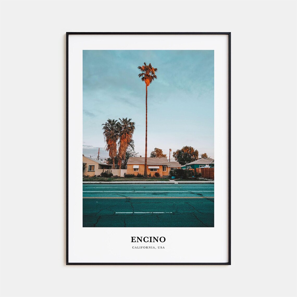 Encino California Palm Trees Street Sunset Valley Scene Photo Poster