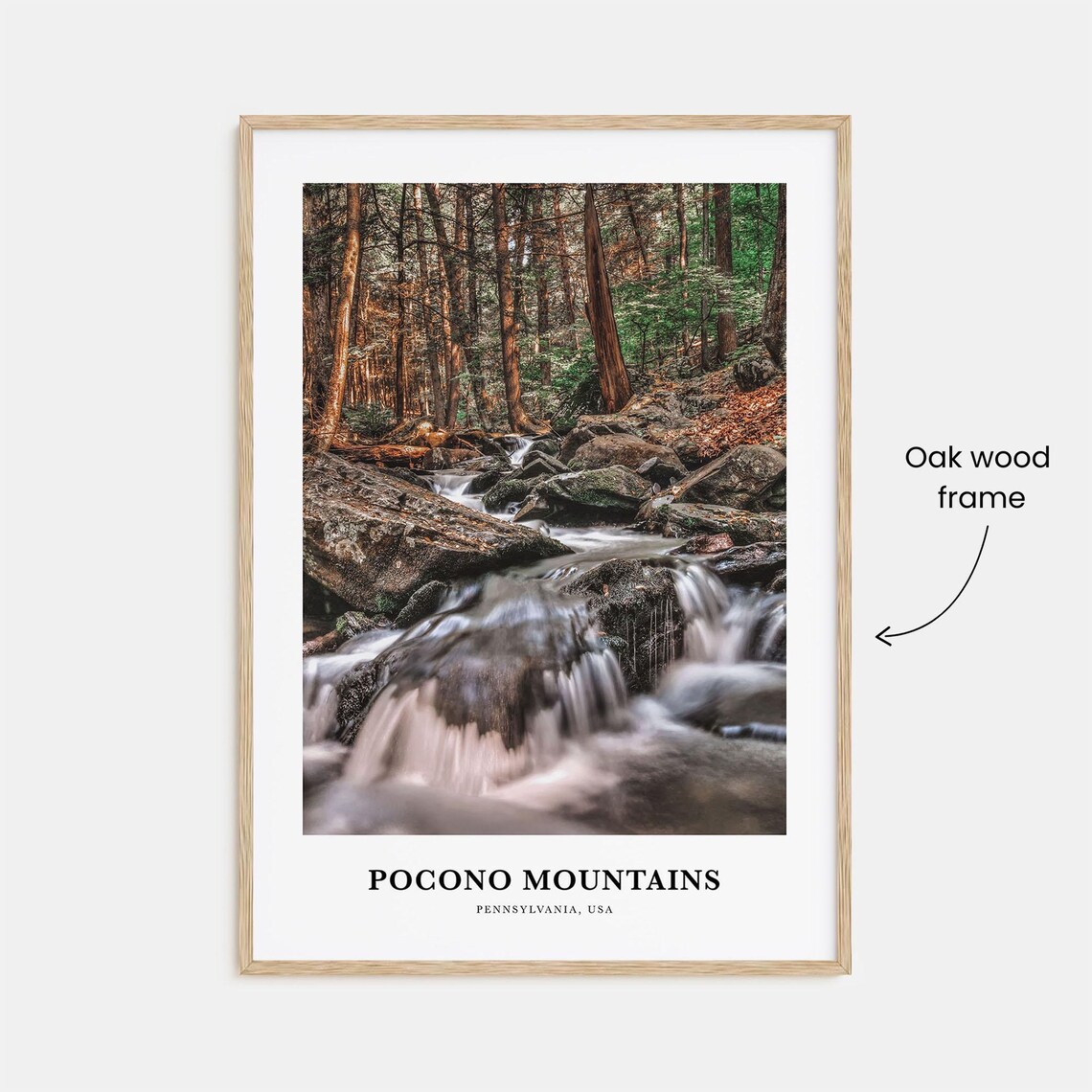 Pocono Mountains Pennsylvania USA Forest Stream Photo Poster - Image 3
