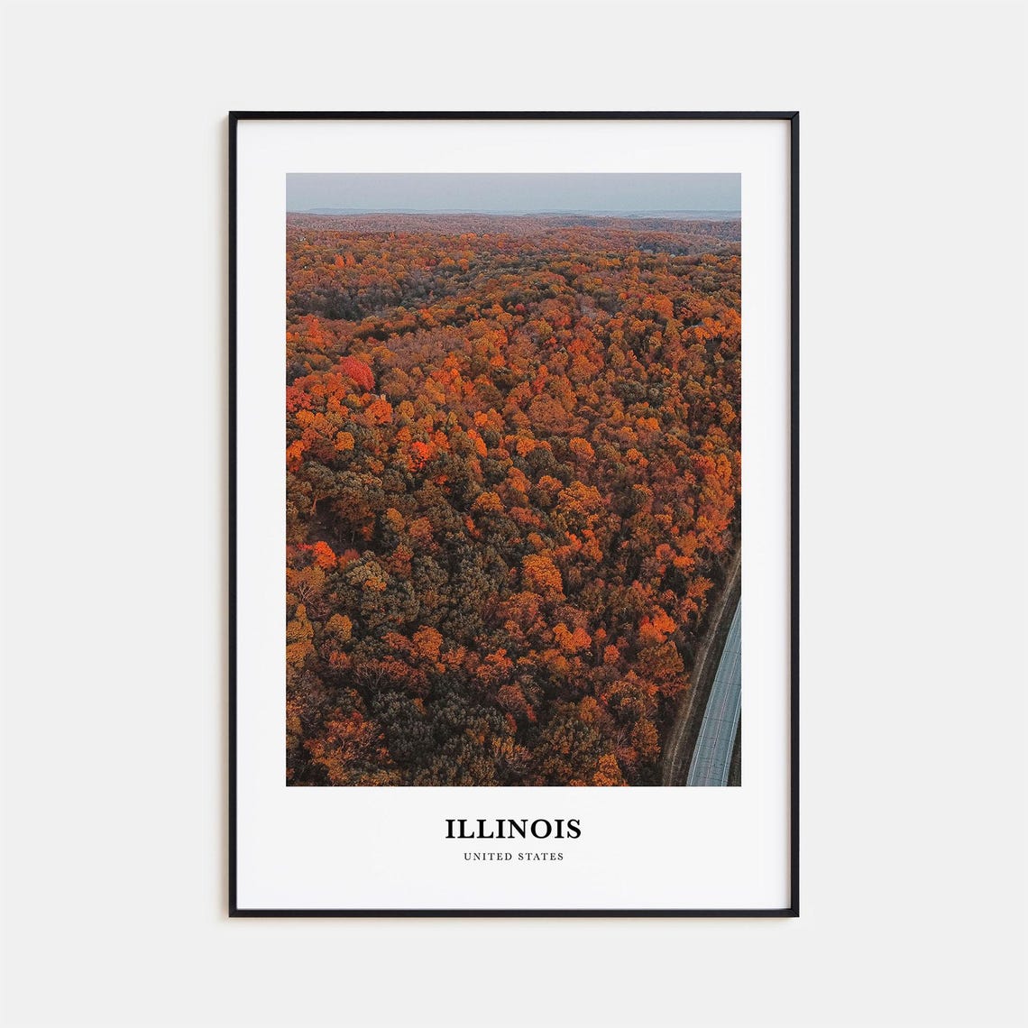 Illinois Fall Foliage Forest Aerial Autumn Photography Travel Poster