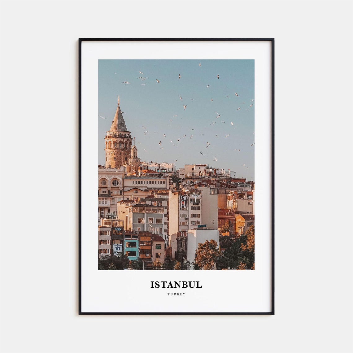 Istanbul Turkey Galata Tower Seagull Skyline Old Town Poster