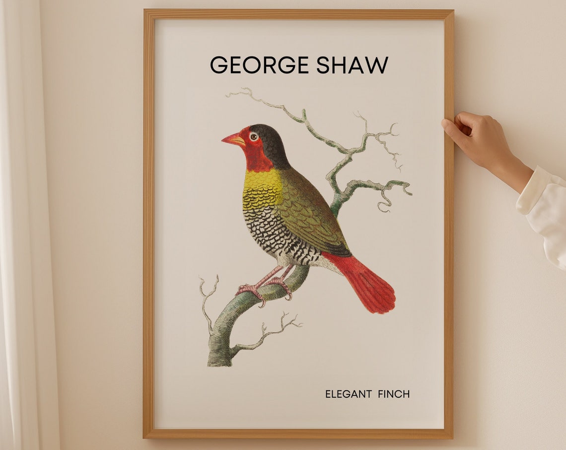 Elegant Finch Poster Bird Wall Art Vintage Bird Print Gift For Grandma Famous Art Prints Living Room Wall Art Garden Birds