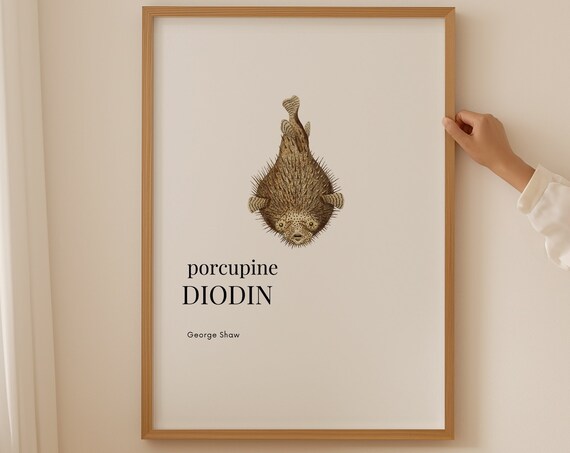 Blow Fish Poster Famous Artist Prints Minimalist Wall Art Art Deco Print Living Room Wall Art Best Friend Gift Vintage Poster