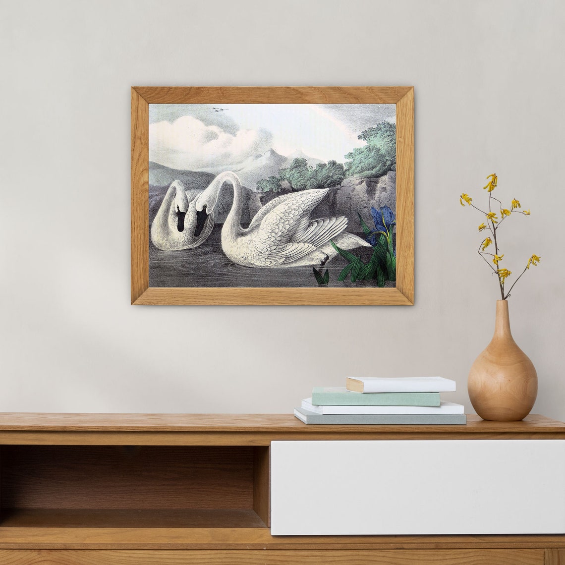 Two White Swans on Water Antique Bird Engraving Wildlife Art Print - Image 3