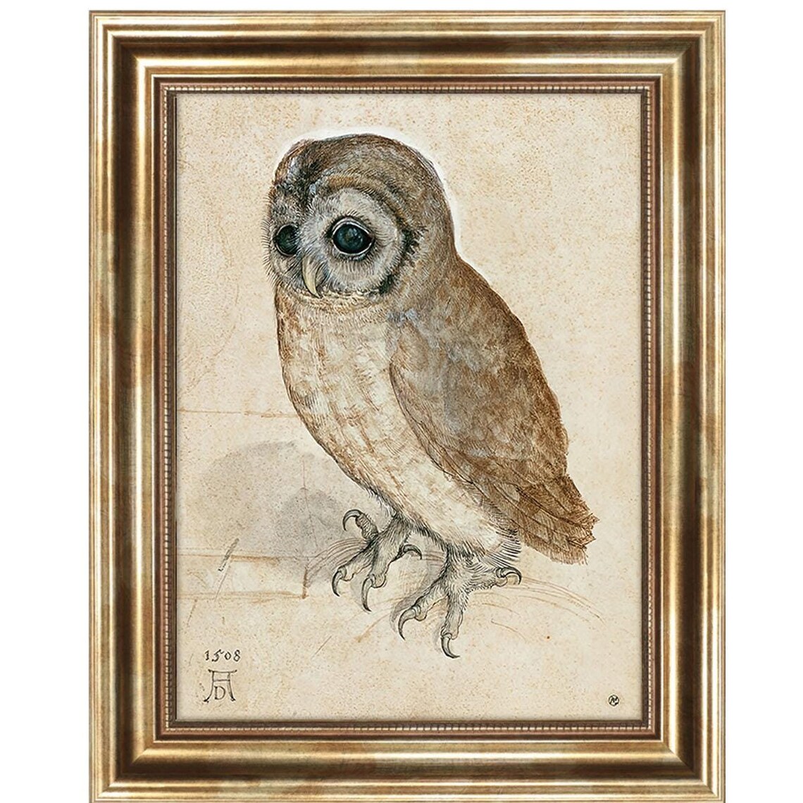 Albrecht Durer The Little Owl 1508 Famous Old Master Drawing Print