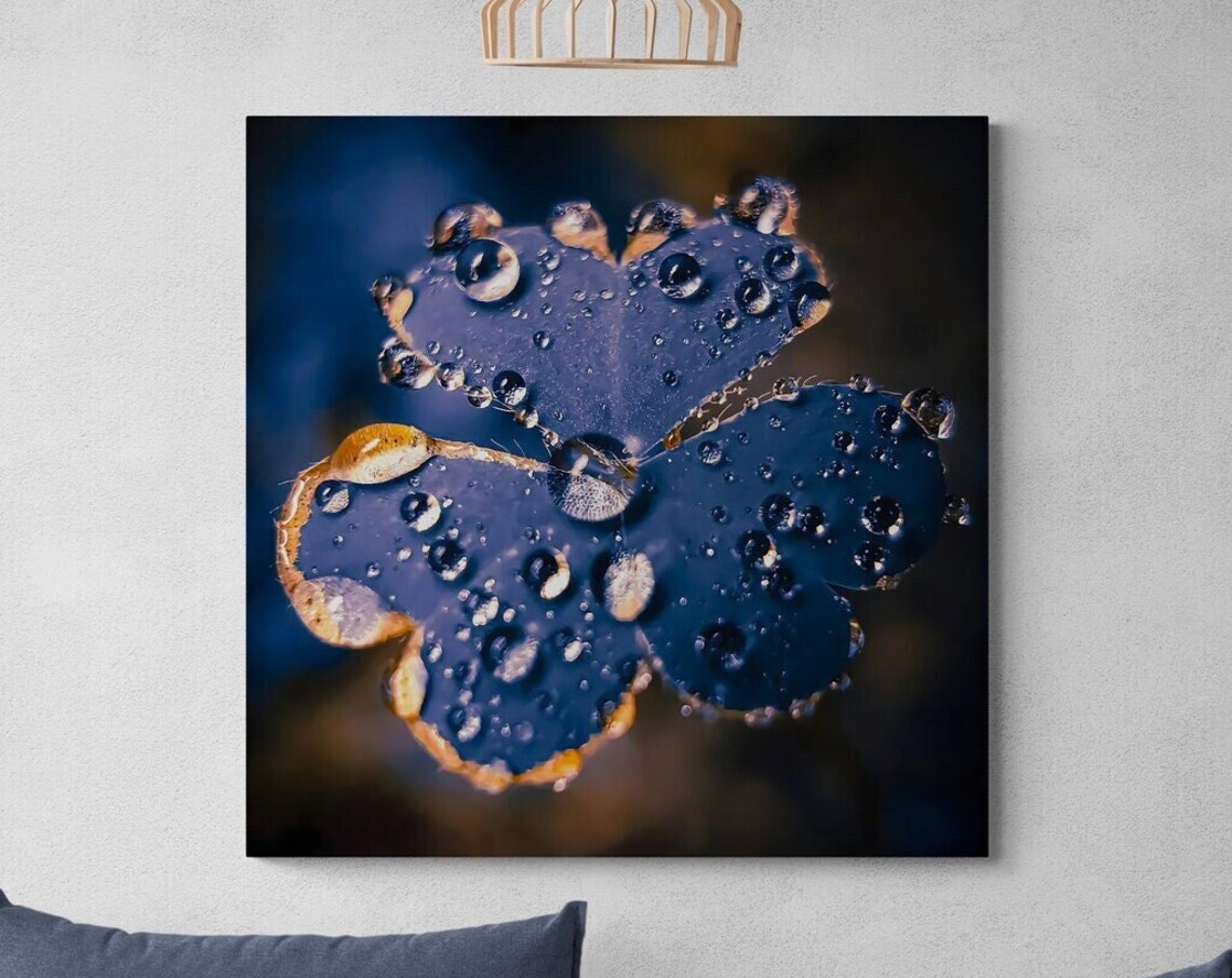 Water Droplet On Flower Clover Floral Art Print - Image 3