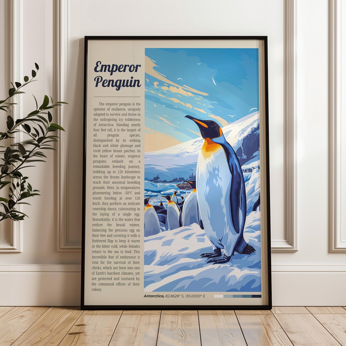 Emperor Penguin Of Antarctica Snow Wildlife Infographic Poster
