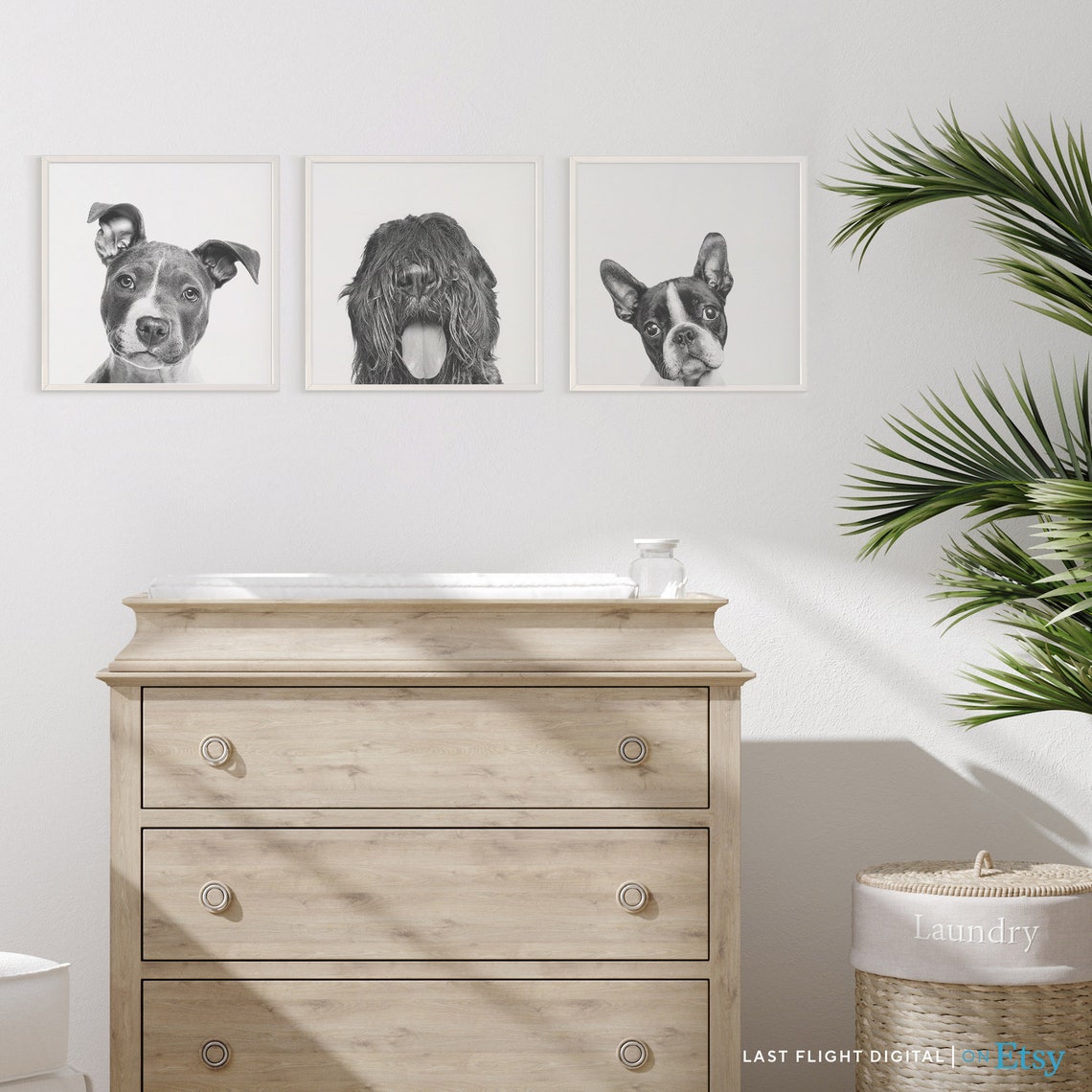 Dog Print Bouvier Des Flandres Dog Poster Puppy Print Puppy Poster Kids Room Nursery Black White Photo Bouvier Print Bouvier Poster - Image 2