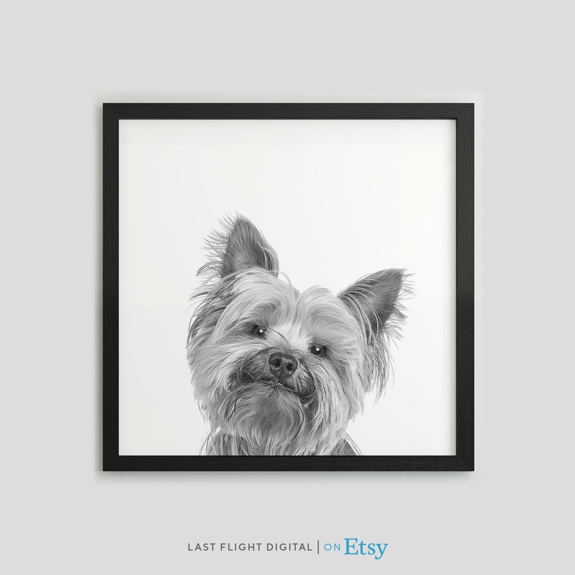Dog Print Yorkshire Terrier Dog Poster Puppy Print Puppy Poster Kids Room Baby Room Black White Photo Cute Yorkshire Puppy Nursery