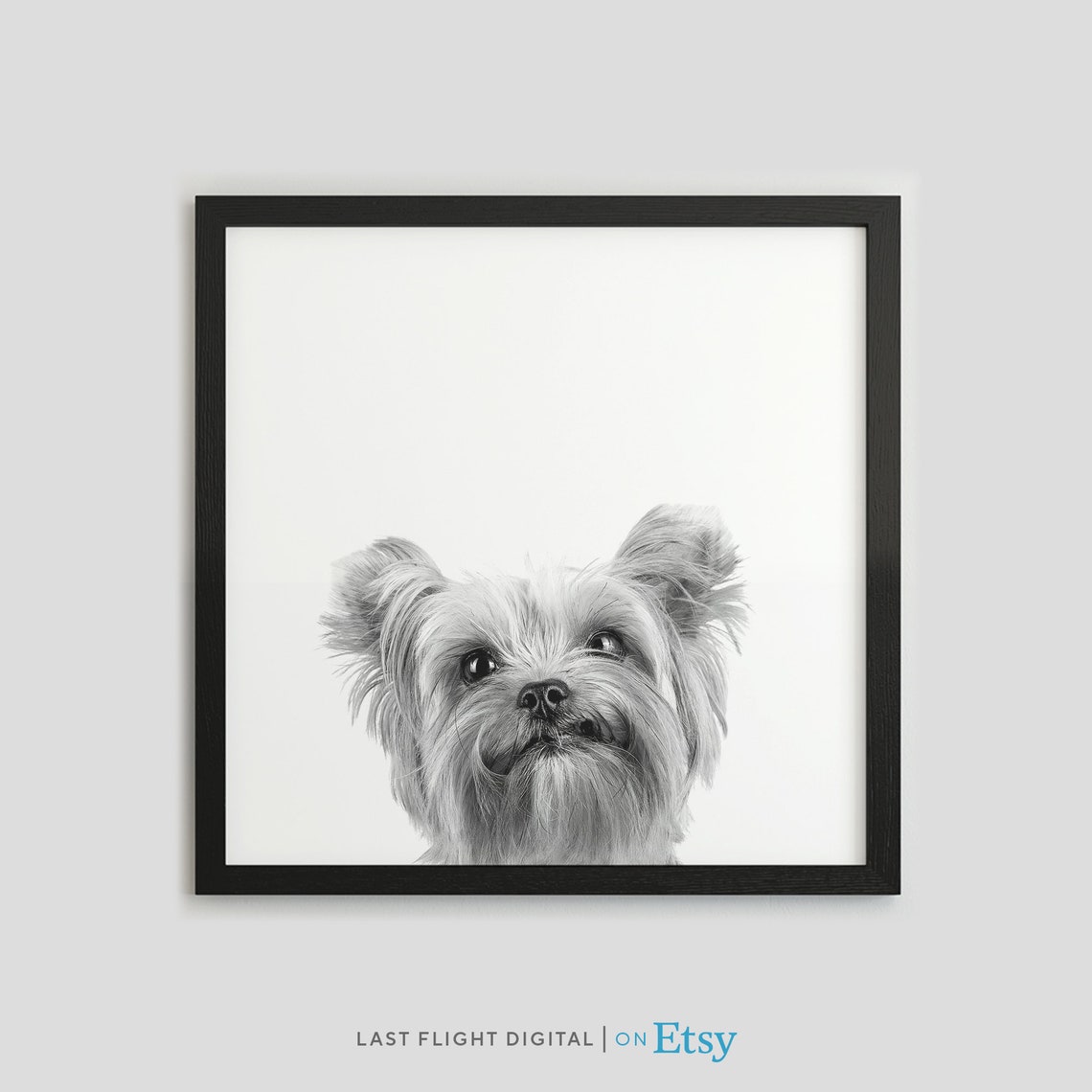 Dog Print Yorkshire Dog Poster Puppy Print Puppy Poster Kids Room Baby Room Black White Photo Wall Art Cute Yorkshire Puppy