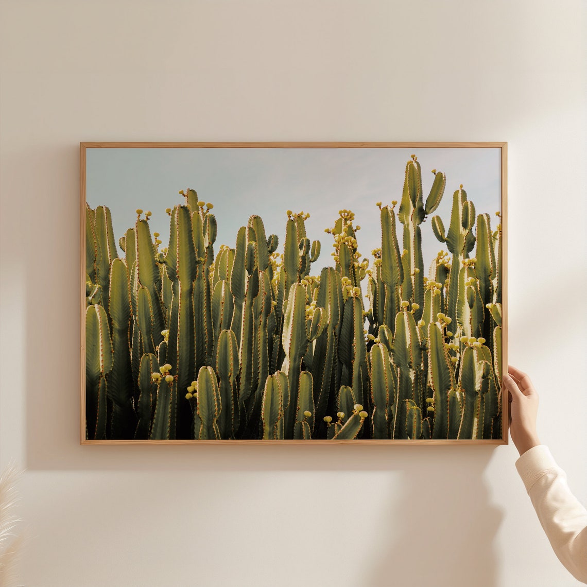 Desert Cactus Row Tall Green Columnar Cacti Blue Sky Photo Poster - Image 3