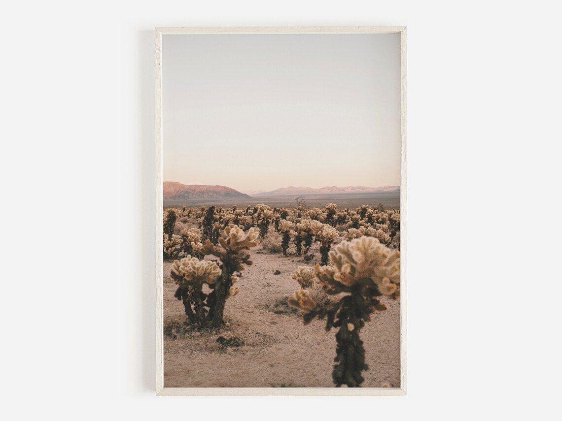 Cholla Cactus Print, Southwestern Desert Landscape