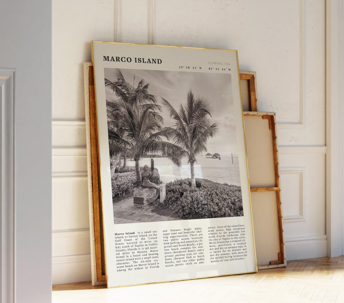 Marco Island Florida Beach Palm Coast Sepia Travel Photo Poster