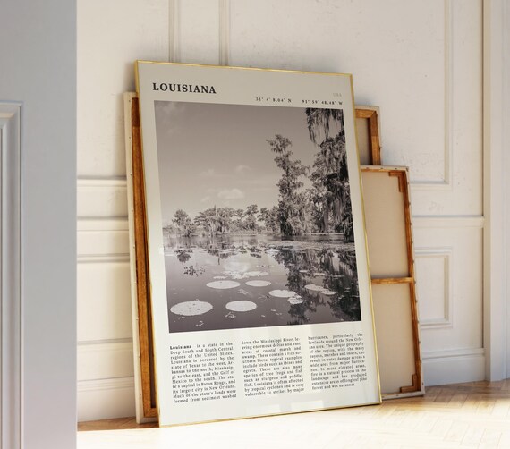 Louisiana Bayou Landscape Black White Swamp Nature Travel Poster