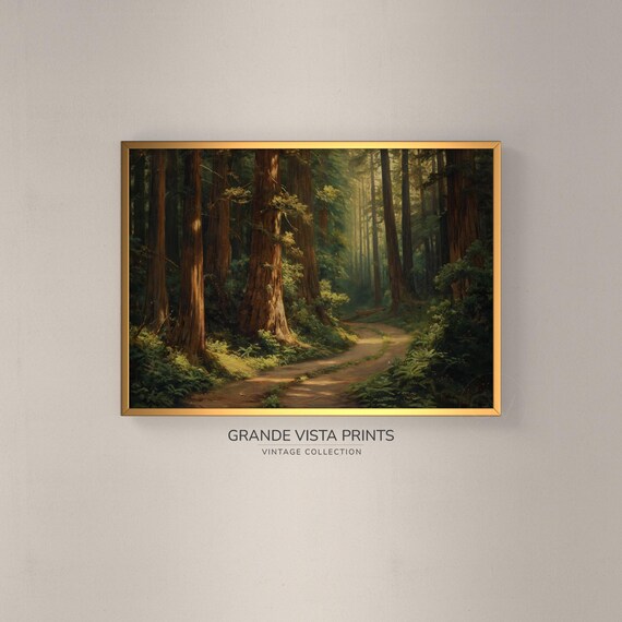 Redwood Forest Artwork Painting Evergreen Trees Wall Art Redwood Trees Art Print Forest Gv4364