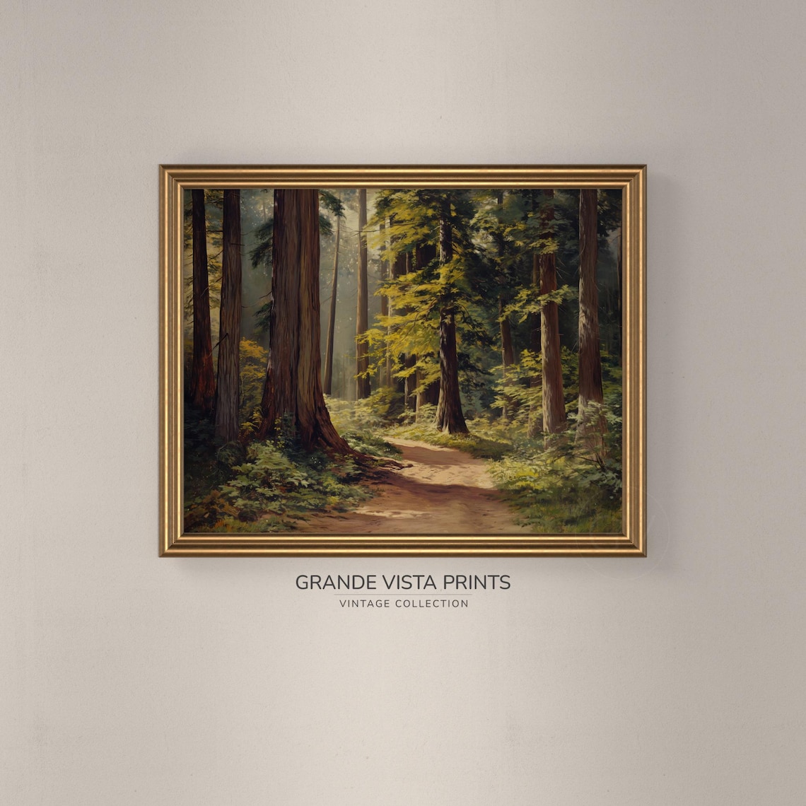 Sunlit Redwood Forest Trail Tall Giants Green Fern Path Travel Poster - Image 3