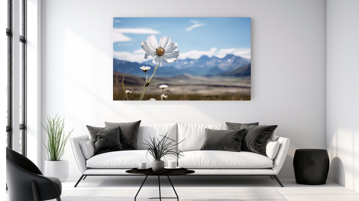 White Cosmos Flower Mountain Meadow Bloom Spring Nature Art Poster