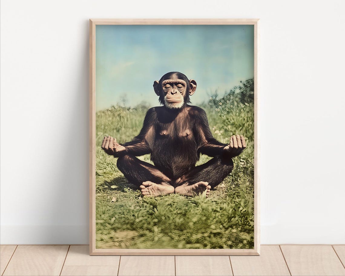 Chimpanzee Meditating Lotus Pose Zen Meadow Funny Animal Poster