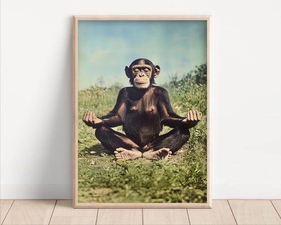 Chimpanzee Meditating Lotus Pose Zen Meadow Funny Animal Poster