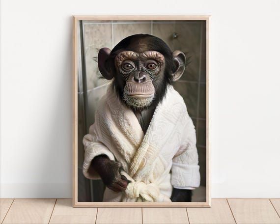 Funny Chimpanzee Bathroom Wall Art Ape In Bathrobe Poster Or Canvas Quirky Laundry Room Decor Animal Humor Print Toilet Powder